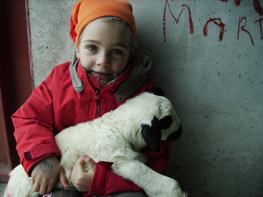Young Coro with a lamb on the farm